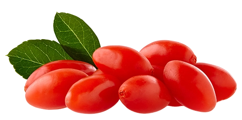 goji bogyo
